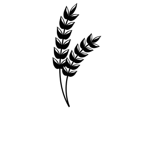 Cereals & Snacks category